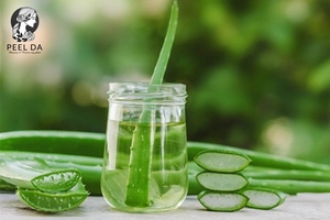 Không chứa cồn nên nước hoa hồng tự làm dễ bị hư