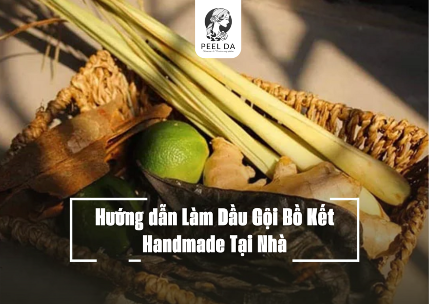 Hướng dẫn Làm Dầu Gội Bồ Kết Handmade Tại Nhà